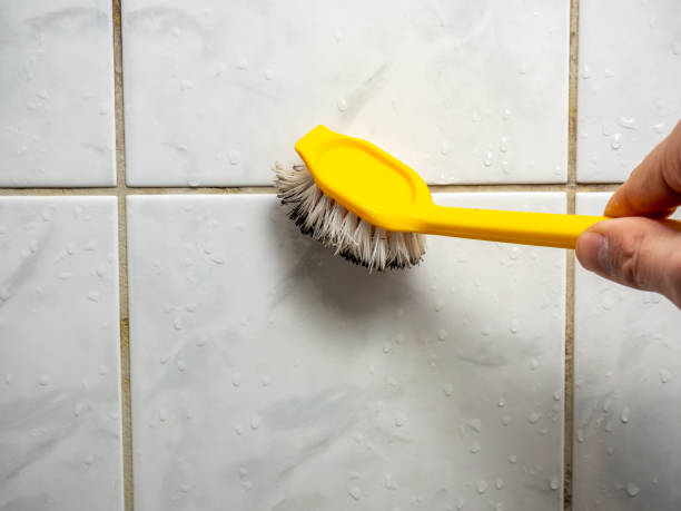  Calvert, TX Mold Removal Pros