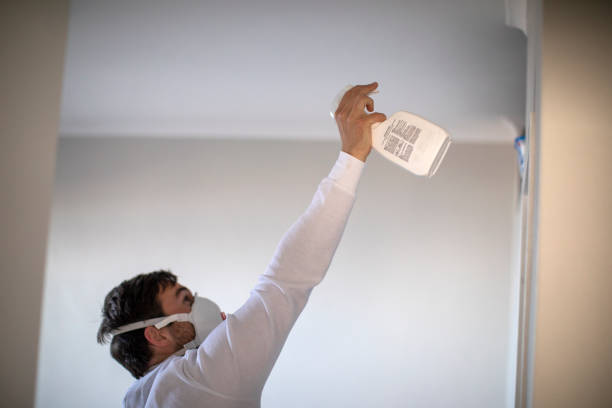 Best Black Mold Remediation in Calvert, TX
