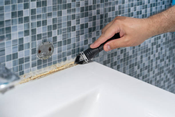 Best Black Mold Remediation in Calvert, TX